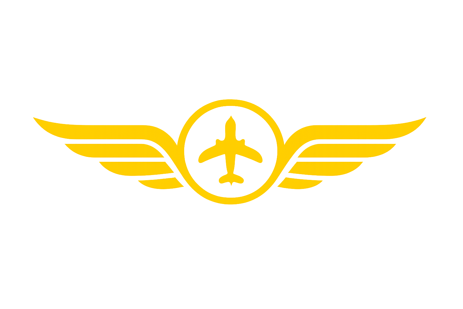UFLY International Logo